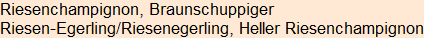 Moment bitte, deutsche Bedeutung nur für angemeldete Benutzer verzögerungsfrei.