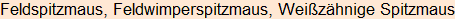 Moment bitte, deutsche Bedeutung nur für angemeldete Benutzer verzögerungsfrei.