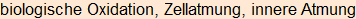 Moment bitte, deutsche Bedeutung nur für angemeldete Benutzer verzögerungsfrei.