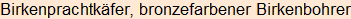 Moment bitte, deutsche Bedeutung nur für angemeldete Benutzer verzögerungsfrei.