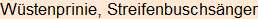 Moment bitte, deutsche Bedeutung nur für angemeldete Benutzer verzögerungsfrei.