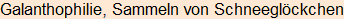 Moment bitte, deutsche Bedeutung nur für angemeldete Benutzer verzögerungsfrei.