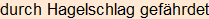 Moment bitte, deutsche Bedeutung nur für angemeldete Benutzer verzögerungsfrei.