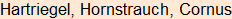 Moment bitte, deutsche Bedeutung nur für angemeldete Benutzer verzögerungsfrei.