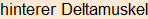 Moment bitte, deutsche Bedeutung nur für angemeldete Benutzer verzögerungsfrei.