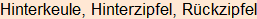 Moment bitte, deutsche Bedeutung nur für angemeldete Benutzer verzögerungsfrei.