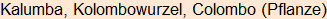 Moment bitte, deutsche Bedeutung nur für angemeldete Benutzer verzögerungsfrei.