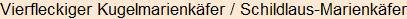 Moment bitte, deutsche Bedeutung nur für angemeldete Benutzer verzögerungsfrei.