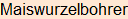Moment bitte, deutsche Bedeutung nur für angemeldete Benutzer verzögerungsfrei.