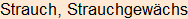 Moment bitte, deutsche Bedeutung nur für angemeldete Benutzer verzögerungsfrei.