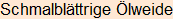 Moment bitte, deutsche Bedeutung nur für angemeldete Benutzer verzögerungsfrei.