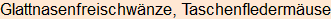 Moment bitte, deutsche Bedeutung nur für angemeldete Benutzer verzögerungsfrei.