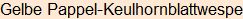 Moment bitte, deutsche Bedeutung nur für angemeldete Benutzer verzögerungsfrei.