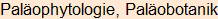 Moment bitte, deutsche Bedeutung nur für angemeldete Benutzer verzögerungsfrei.
