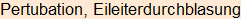 Moment bitte, deutsche Bedeutung nur für angemeldete Benutzer verzögerungsfrei.