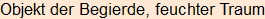 Moment bitte, deutsche Bedeutung nur für angemeldete Benutzer verzögerungsfrei.