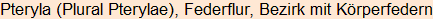 Moment bitte, deutsche Bedeutung nur für angemeldete Benutzer verzögerungsfrei.