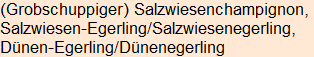 Moment bitte, deutsche Bedeutung nur für angemeldete Benutzer verzögerungsfrei.