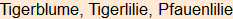 Moment bitte, deutsche Bedeutung nur für angemeldete Benutzer verzögerungsfrei.