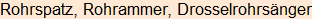 Moment bitte, deutsche Bedeutung nur für angemeldete Benutzer verzögerungsfrei.