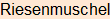 Moment bitte, deutsche Bedeutung nur für angemeldete Benutzer verzögerungsfrei.