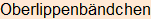 Moment bitte, deutsche Bedeutung nur für angemeldete Benutzer verzögerungsfrei.