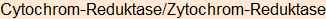 Moment bitte, deutsche Bedeutung nur für angemeldete Benutzer verzögerungsfrei.