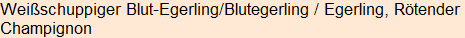 Moment bitte, deutsche Bedeutung nur für angemeldete Benutzer verzögerungsfrei.