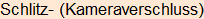 Moment bitte, deutsche Bedeutung nur für angemeldete Benutzer verzögerungsfrei.