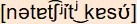 phonetische Transkription