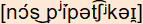 phonetische Transkription