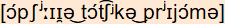 phonetische Transkription