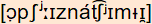 phonetische Transkription