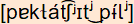 phonetische Transkription