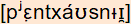 phonetische Transkription