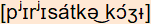 phonetische Transkription