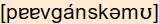 phonetische Transkription
