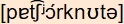 phonetische Transkription