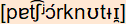phonetische Transkription