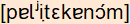 phonetische Transkription