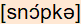 phonetische Transkription