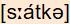phonetische Transkription