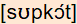 phonetische Transkription