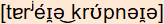 phonetische Transkription