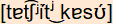 phonetische Transkription