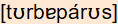 phonetische Transkription