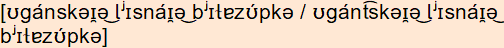 phonetische Transkription