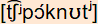 phonetische Transkription